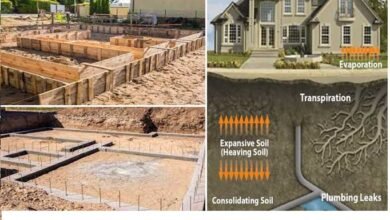 Structural Assessment of Residential Foundations in Expansive Clay Soil 